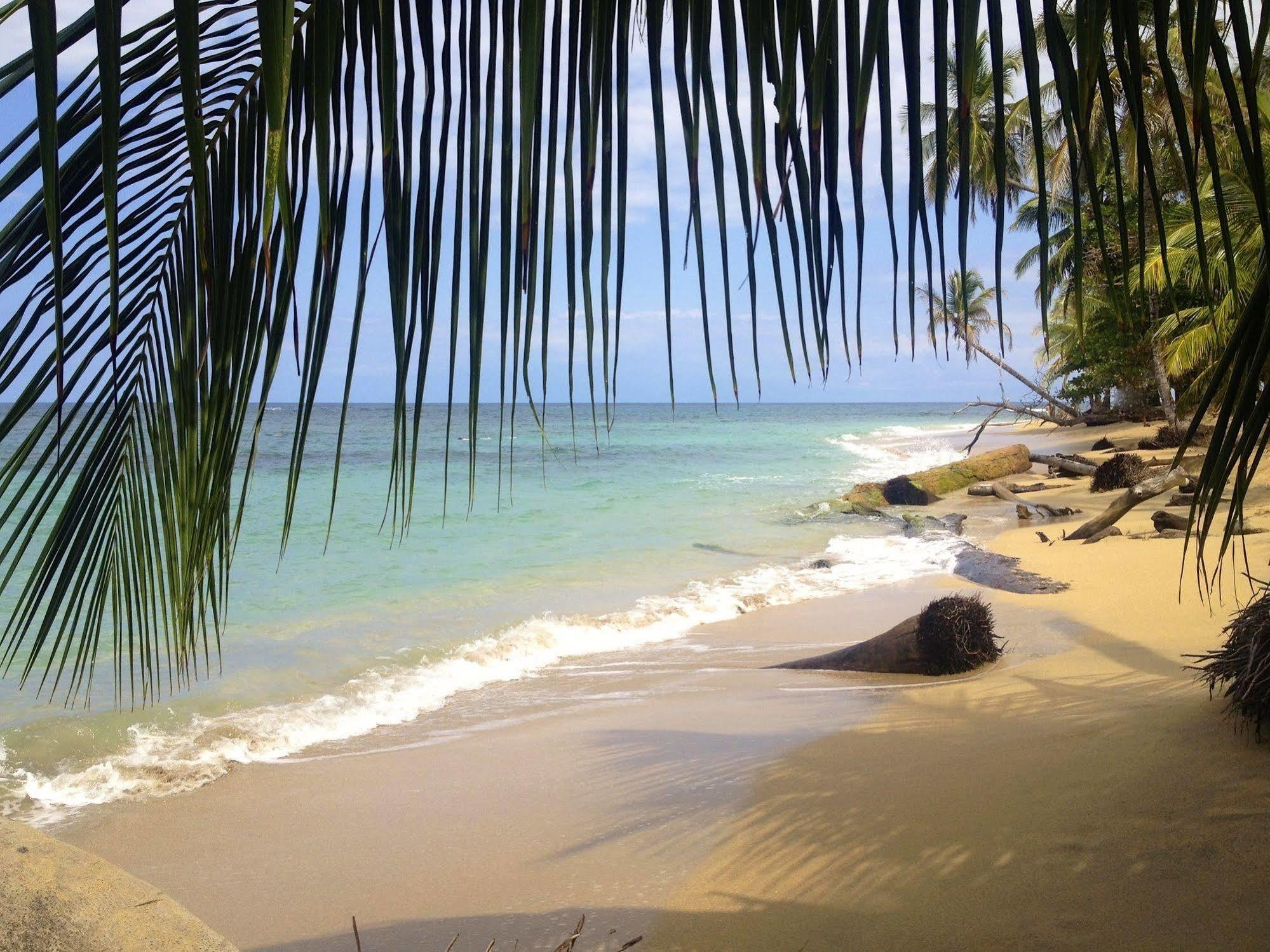 Physis Caribbean Bed & Breakfast Puerto Viejo de Talamanca Экстерьер фото